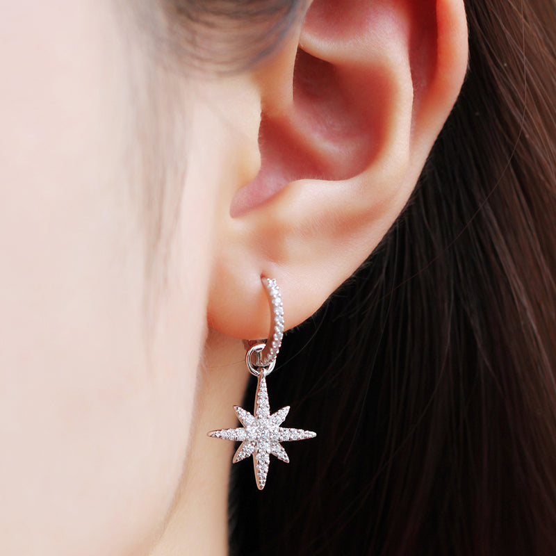 APM Asymmetric Sterling Silver Small Meteorite Earrings AE10965OX